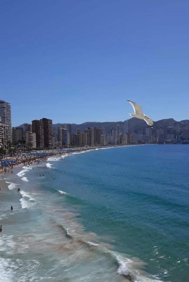 San Remo Levante Beach Apartments 베니돔 외부 사진
